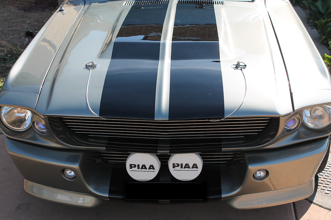 shelby4